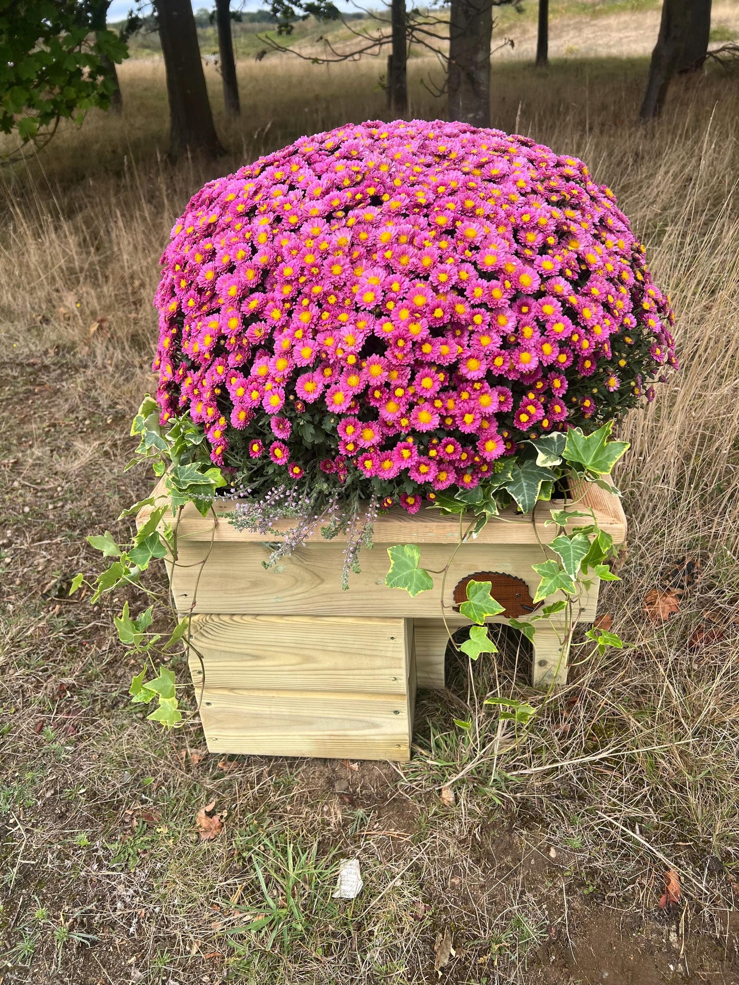 Hedgehog House Planter, 3 tier with extra deep planter on top, Hedgehog house, planter, planter top.