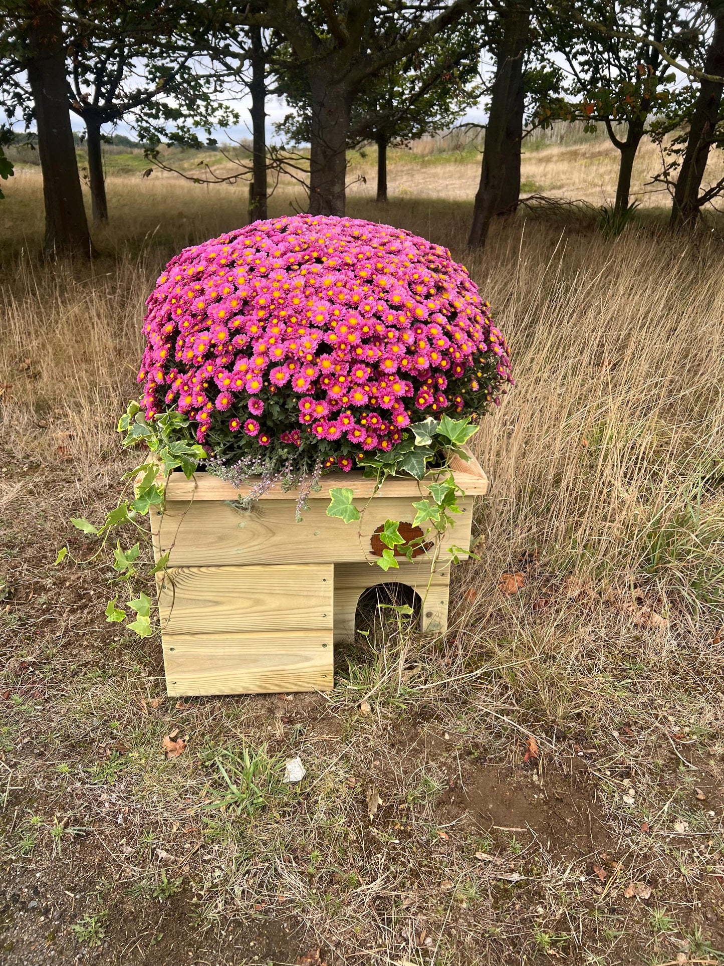 Hedgehog House Planter, 3 tier with extra deep planter on top, Hedgehog house, planter, planter top.