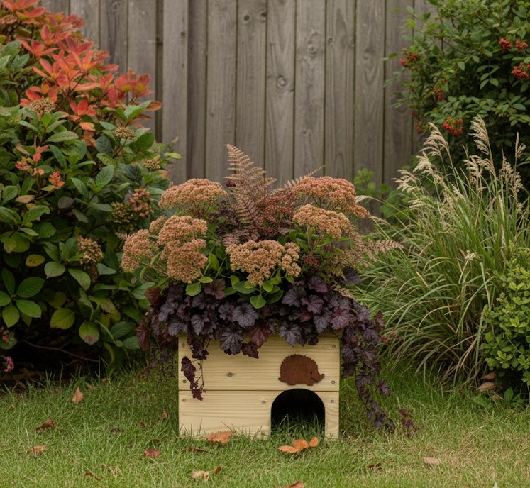 Hedgehog House With Planter Top