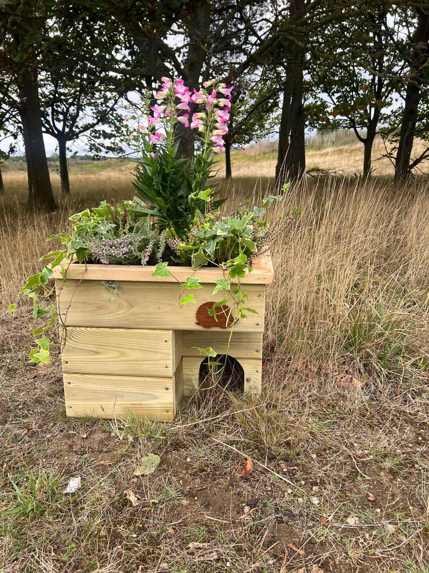 Hedgehog House Planter, 3 tier with extra deep planter on top, Hedgehog house, planter, planter top.