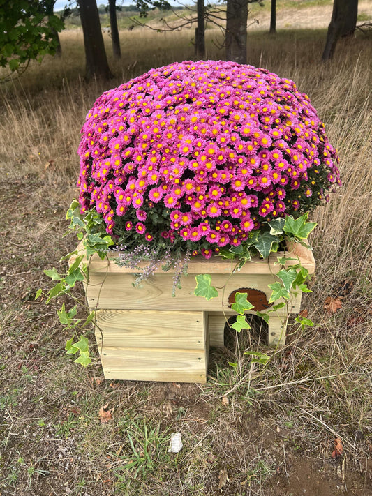 Hedgehog House Planter, 3 tier with extra deep planter on top, Hedgehog house, planter, planter top.