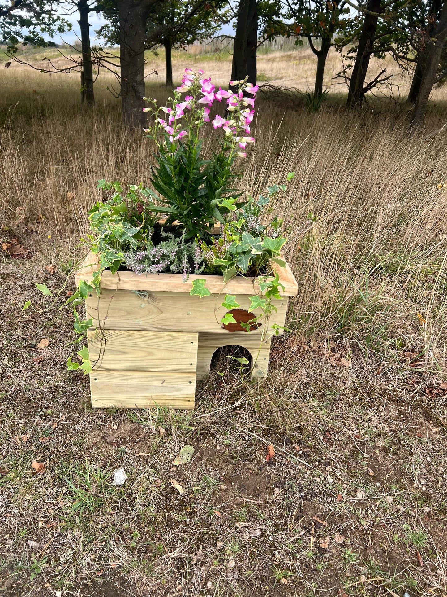 Hedgehog House Planter, 3 tier with extra deep planter on top, Hedgehog house, planter, planter top.