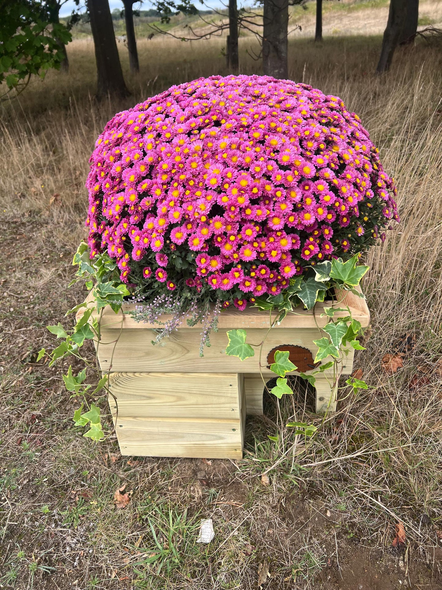 Hedgehog House Planter, 3 tier with extra deep planter on top, Hedgehog house, planter, planter top.